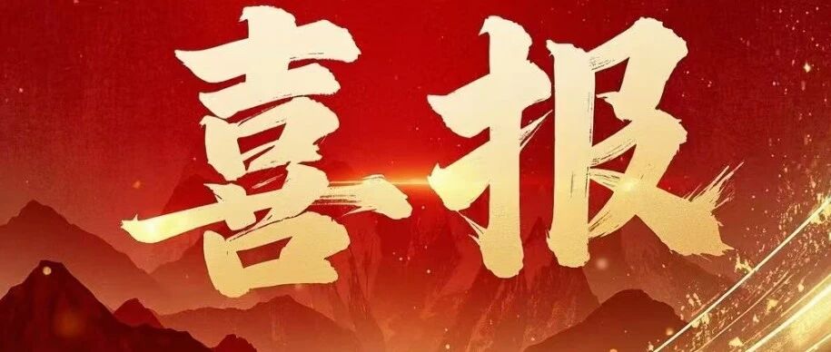 喜报 | 翰林汇荣获INNO3D映众「2026年度最佳服务商」