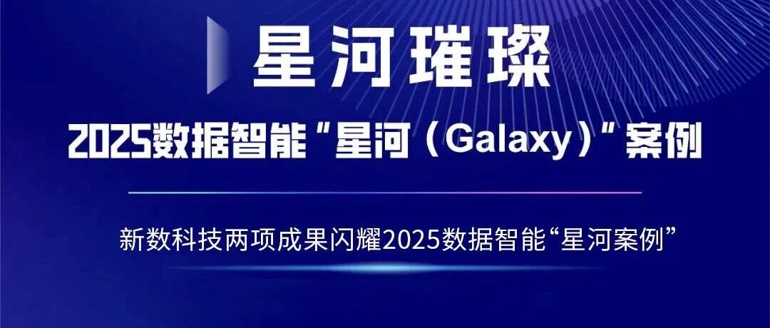 捷报频传 | 新数科技两项成果闪耀2025数据智能“星河”榜