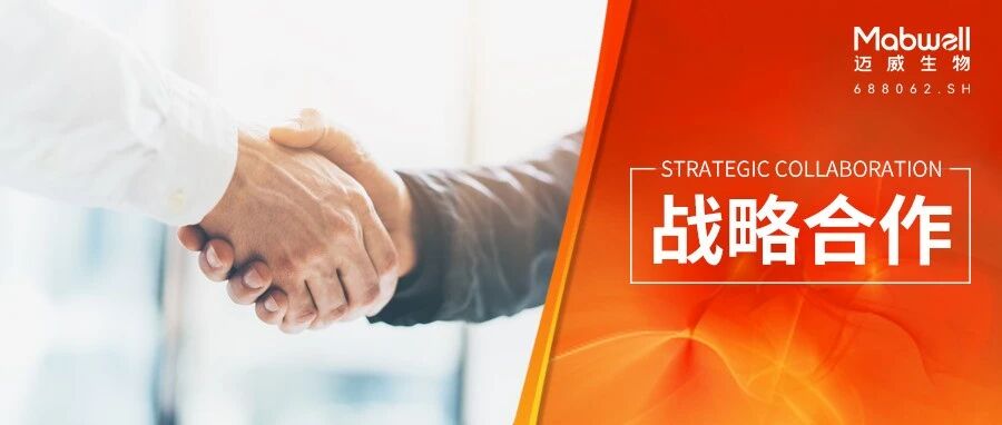 迈威生物与 Sentonix 达成战略合作,共同探索神经退行性疾病创新疗法