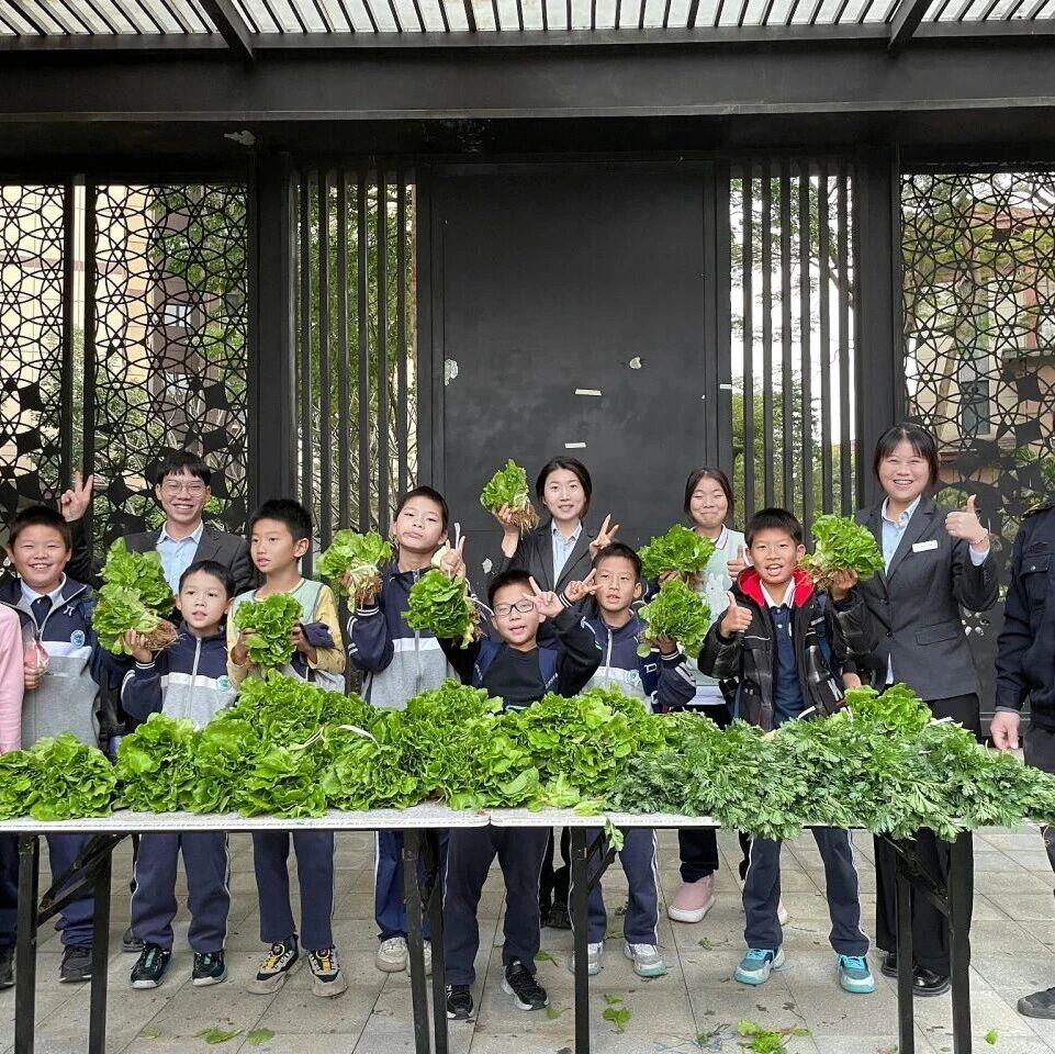 中山公司 | 近镜头:记录四季温暖