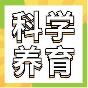 孩子的钙,真的“补”进去了吗?揭秘影响钙吸收的关键因素!