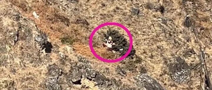 头部受伤严重，男童失足坠崖不幸遇难！“是和爸爸奶奶一起来玩的”……当地最新回应