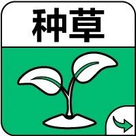 慢性炎症：身体里的“隐形杀手”，这4类人最该警惕