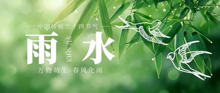 雨水 | 雨霁云开，共赴欣欣征程