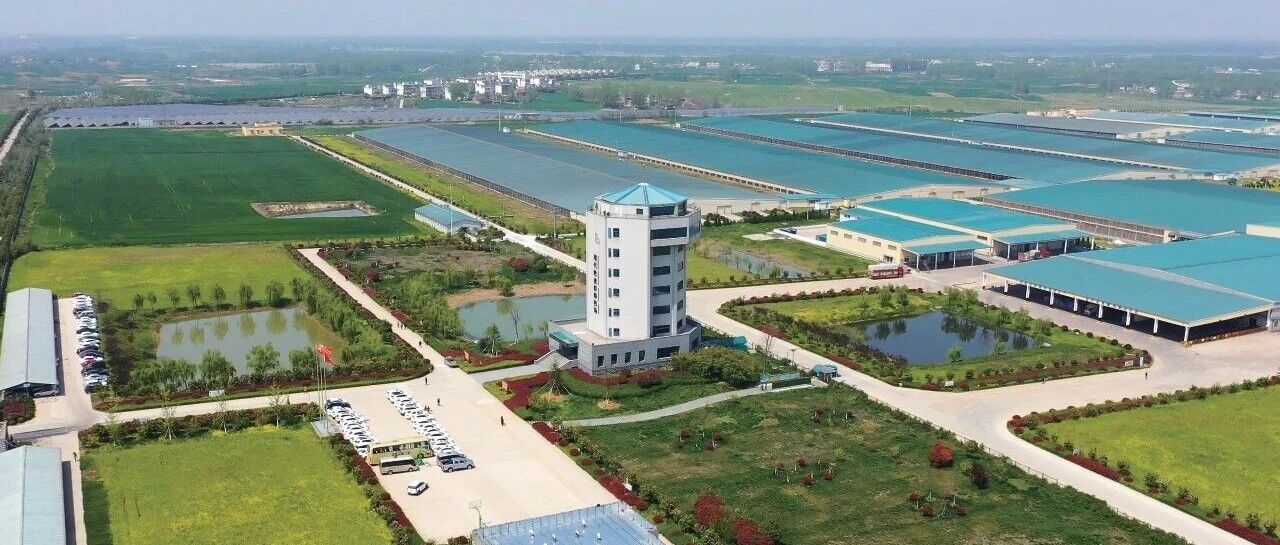 国家级绿色工厂,再添6家!