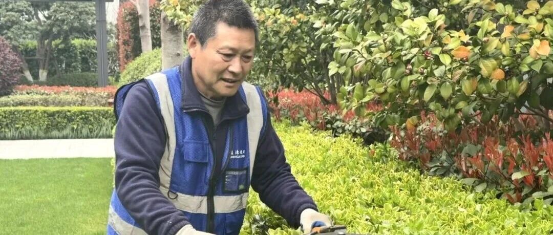 揭秘！社区的春天模式，靠这招“焕颜术”提前上线