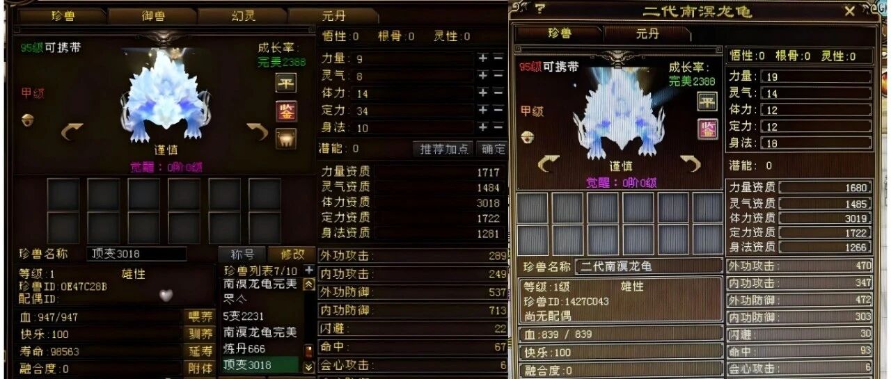 神仙打架？天龙南溟龙龟资质再创新高！裸资3019谁与争锋~网友：一山更比一山高呀。。