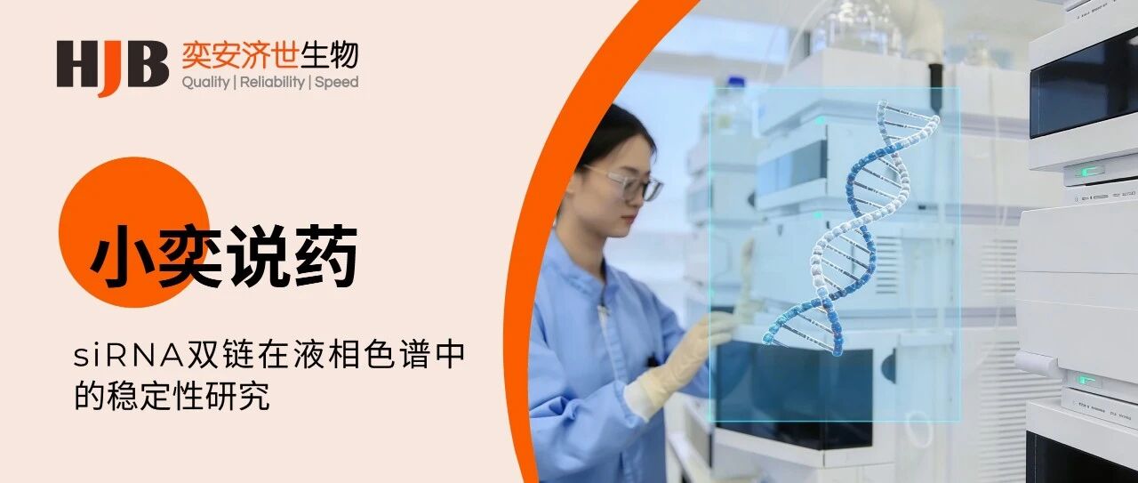 小奕说药 | siRNA双链在液相色谱中的稳定性研究