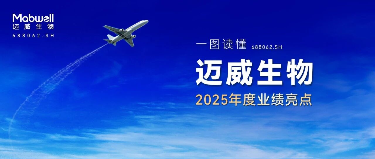 一图读懂 | 迈威生物 2025 年度业绩报告