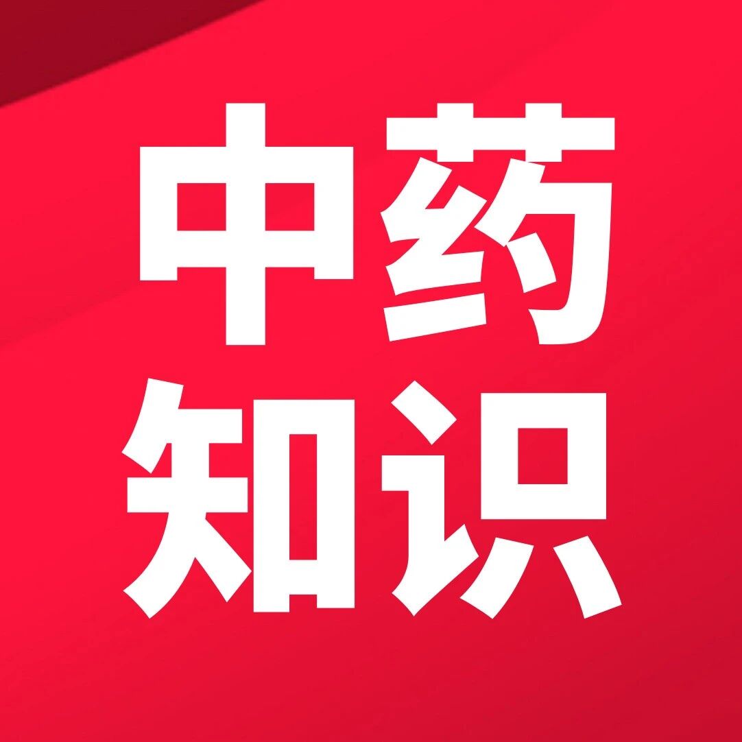 白术、苍术、紫苑、三棱、泽泻-中药鉴定图解 | 药师帮-中药学习